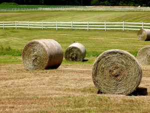 hay bale